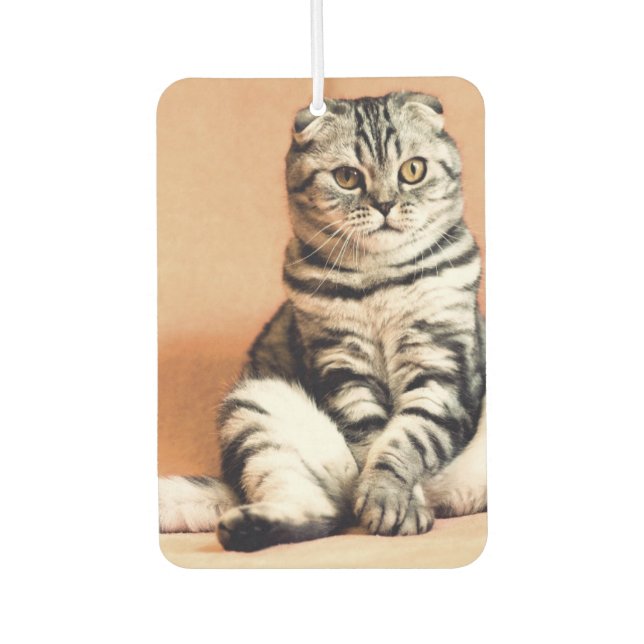 Custom Photo Personalized Pet Air Freshener (Front)