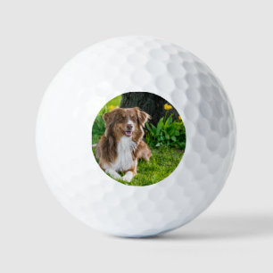 Custom Photo Personalized Pet Golf Balls