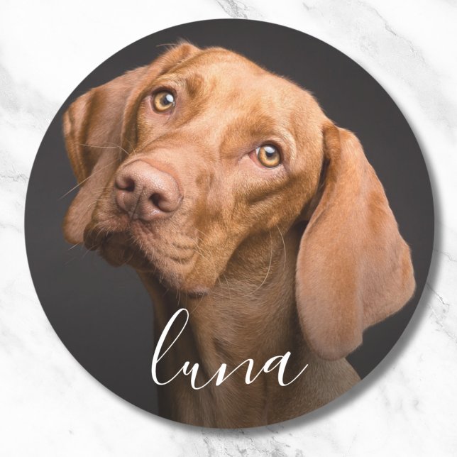 Custom Photo Personalized Pet Name  Classic Round Sticker (Pet Photo Sticker Label)