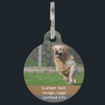 Custom Photo Personalized Pet Tags, Dog, Cat or  Pet ID Tag<br><div class="desc">Perfect ID tag for your beloved pet dog, cat or other pets - Available can't find unique dog name tag for your pet dog, cute cat, k-9 or other pet family member? Here, you have a perfect chance to show your creativity for your beloved dog family member. Pet Tags |...</div>