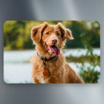 Custom Photo Personalized Picture Magnet<br><div class="desc">Create a unique keepsake with a custom photo personalized picture, perfect for capturing and displaying cherished memories. Simply upload your favorite photo, and transform it into a beautiful piece of art that can be framed or used on various personalized items like canvas prints, mugs, or cushions. Whether it’s a family...</div>