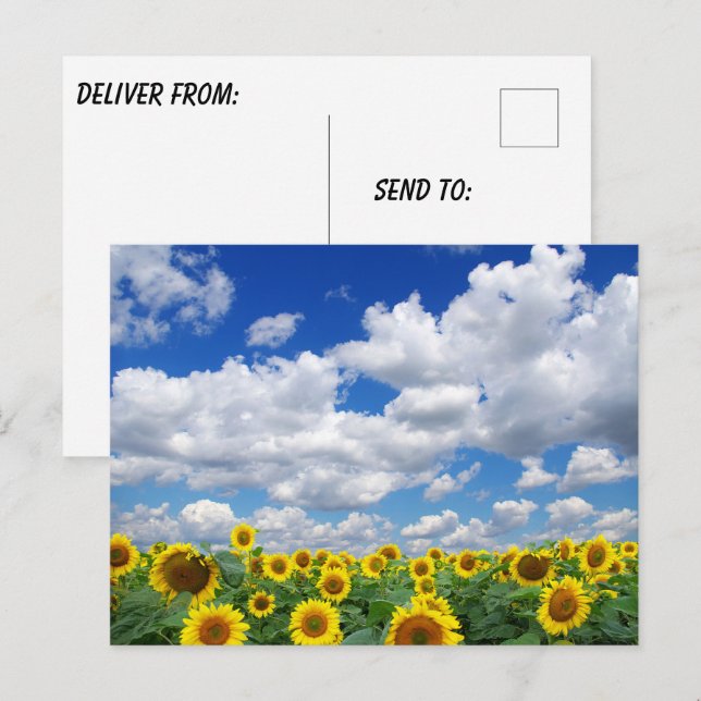 Custom Photo Personalized  Postcard (Front/Back)