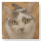 Custom Photo Personalized