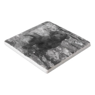 Custom Photo personalized Trivet