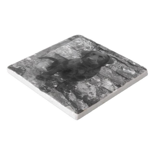 Custom Photo personalized Trivet (Corner)