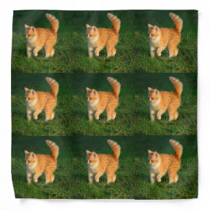 Custom Photo Pet Bandana