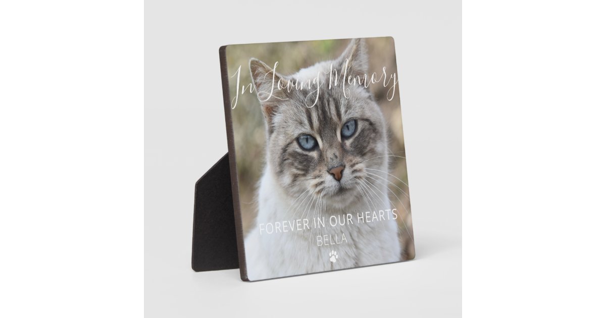 Custom Photo Pet Cat Memorial Keepsake Plaque | Zazzle