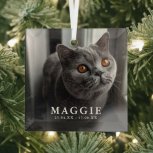 Custom Photo Pet Cat Memorial Tribute Christmas Glass Ornament