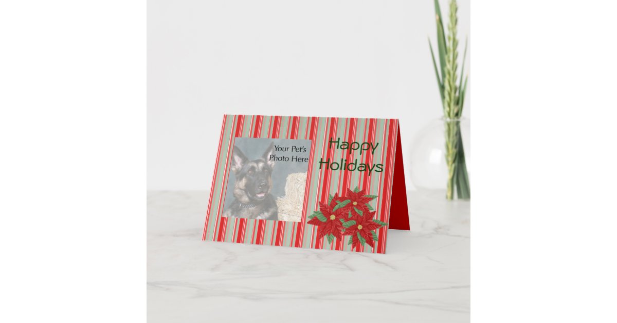 Custom Photo Pet Christmas Cards Zazzle Custom Photo Pet Christmas Cards