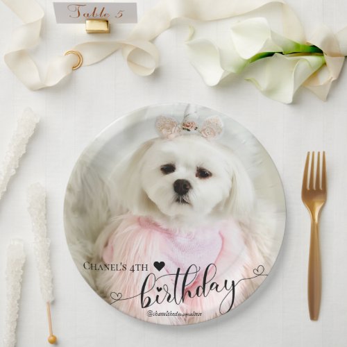 Custom Photo Pet Dog Birthday Typography Black Paper Plates