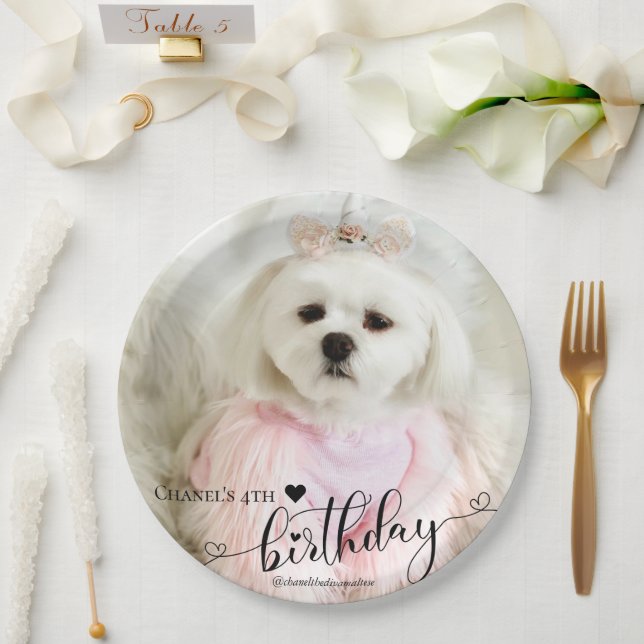 Custom Photo Pet Dog Birthday Typography Black Paper Plates (Wedding)