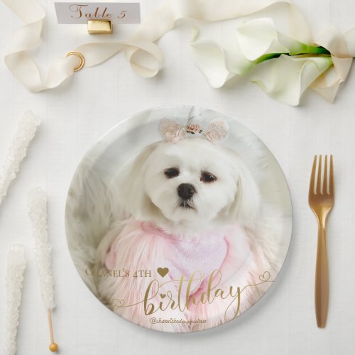 Custom Photo Pet Dog Birthday Typography Gold Paper Plates