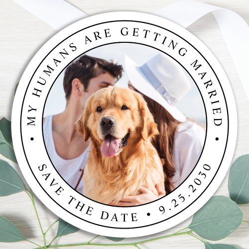 Custom Photo Pet Dog Wedding Save The Date Classic Round Sticker
