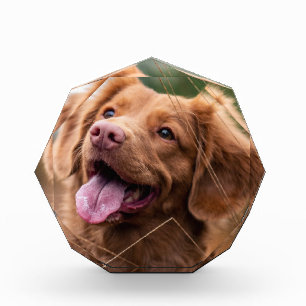 Custom Photo Pet Memorial Dog Photo Block