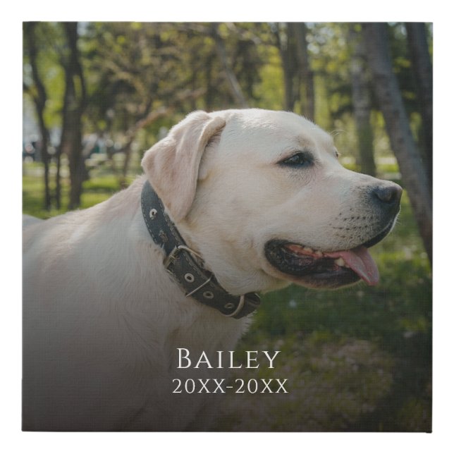 Custom Photo Pet Memorial Faux Canvas Print (Front)