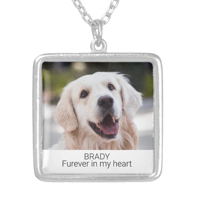 Custom Photo Pet Memorial with Name and Text Silver Plated Necklace (Front)