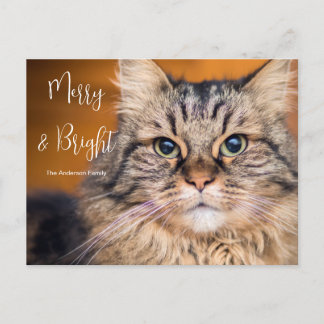 Custom Photo Pet Merry and Bright Holiday Card