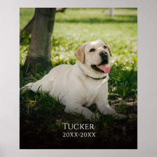 Custom Photo Pet Name Memorial Poster