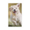 Custom Photo Pet Puppy Dog Social Media QR Code