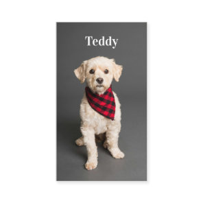 Custom Photo Pet Puppy Dog Social Media QR Code  Business Card