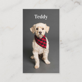 Custom Photo Pet Puppy Dog Social Media QR Code Business Card