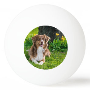 Custom Photo Ping Pong Ball