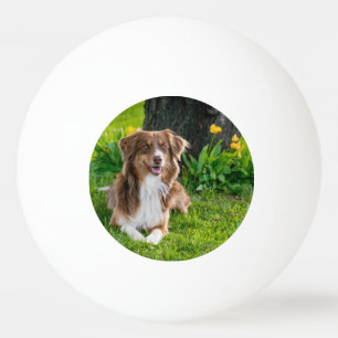 Custom Photo Ping Pong Ball