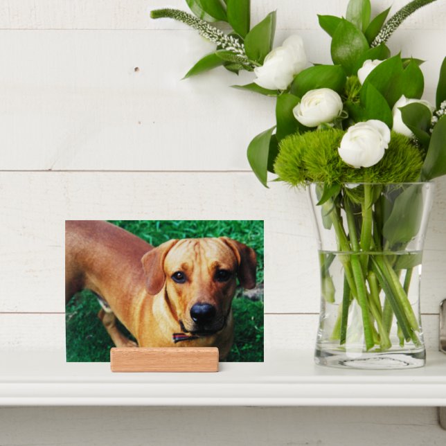 Custom Photo Print And Wooden Holder Stand  (Insitu 4)