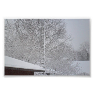 CUSTOM PHOTO PRINTS