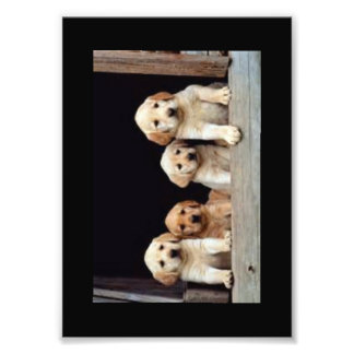 CUSTOM PHOTO PRINTS