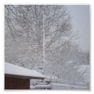 CUSTOM PHOTO PRINTS 6 X6