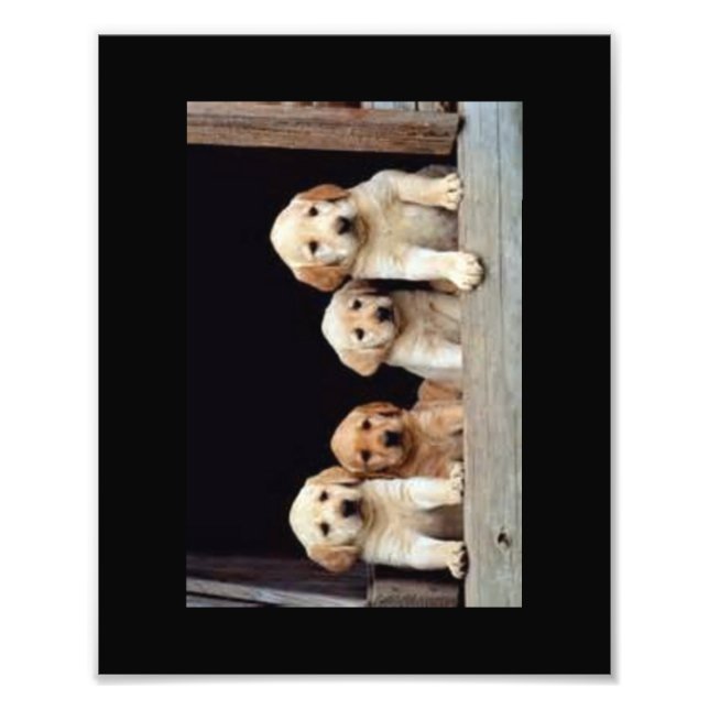 CUSTOM PHOTO PRINTS   8 X 10 (Front)