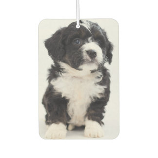 Custom Photo Puppy Dog Pet Personalized Air Freshener