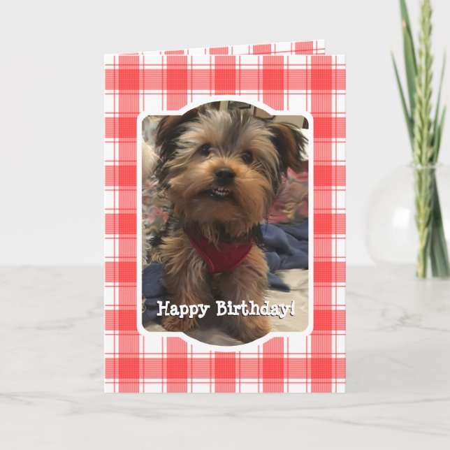Custom Photo Red & White Country Farmhouse Plaid Card (Front)