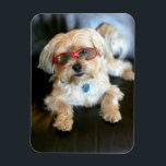 Custom Photo Refrigerator Magnet<br><div class="desc">Custom Photo Refrigerator Magnet</div>