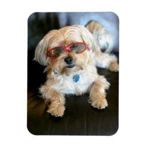 Custom Photo Refrigerator Magnet