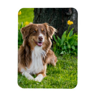 Custom Photo Refrigerator Magnet