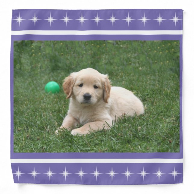 Custom  Photo & Stars on Periwinkle Bandana (Front)