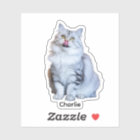 Custom Photo Stickers | Personalized Vinyl Decals