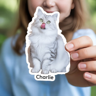 Custom Photo Stickers | Personalized Vinyl Decals