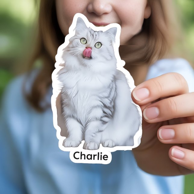 Custom Photo Stickers | Personalized Vinyl Decals (Custom Photo Vinyl Stickers)