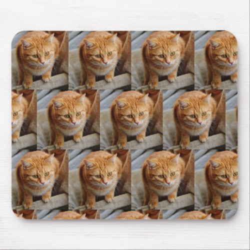 Custom Photo Template Collage Pet Family Mouse Pad