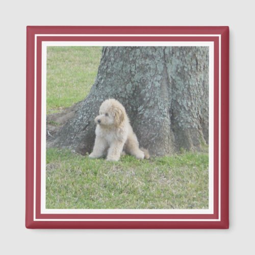 Custom Photo Template Crimson Red  White Magnet