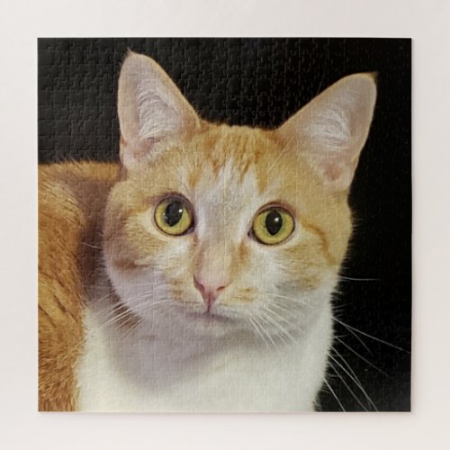 Custom Photo Template Cute Pet Cat Keepsake Square Jigsaw Puzzle