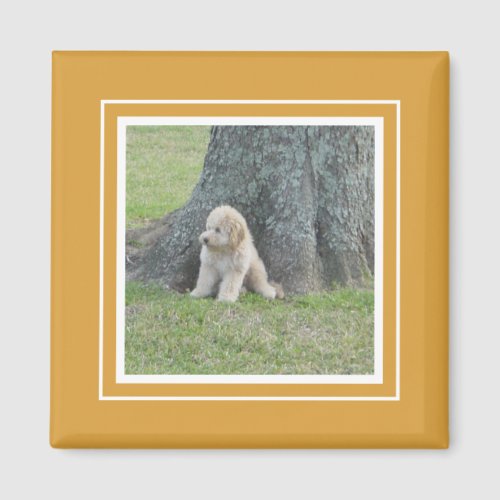 Custom Photo Template Golden Yellow  White Magnet