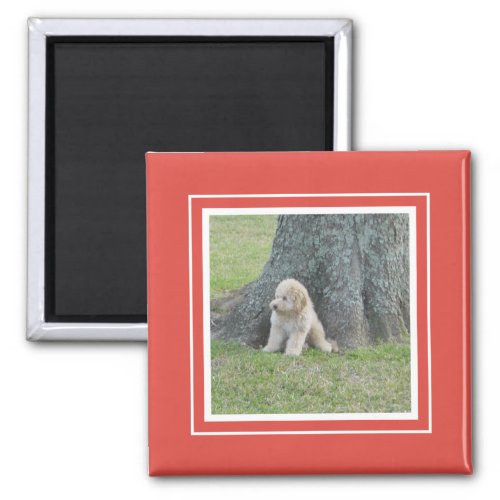 Custom Photo Template Modern Simple Chic Red White Magnet