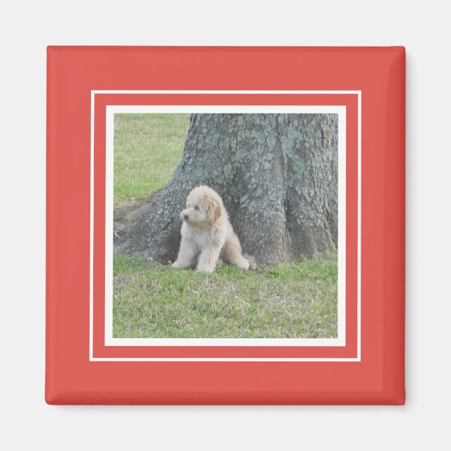 Custom Photo Template Modern Simple Chic Red White Magnet (Front)