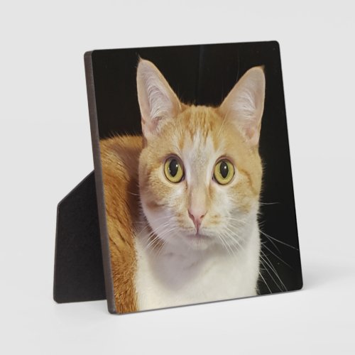 Custom Photo Template Pet Cat Modern Script Plaque