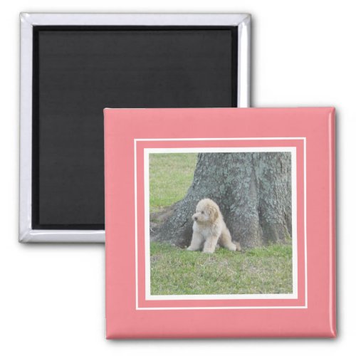 Custom Photo Template Soft Pink Coral White Magnet