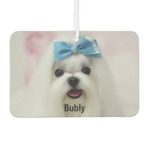 Custom Photo Text Logo Personalized Branding Air Freshener